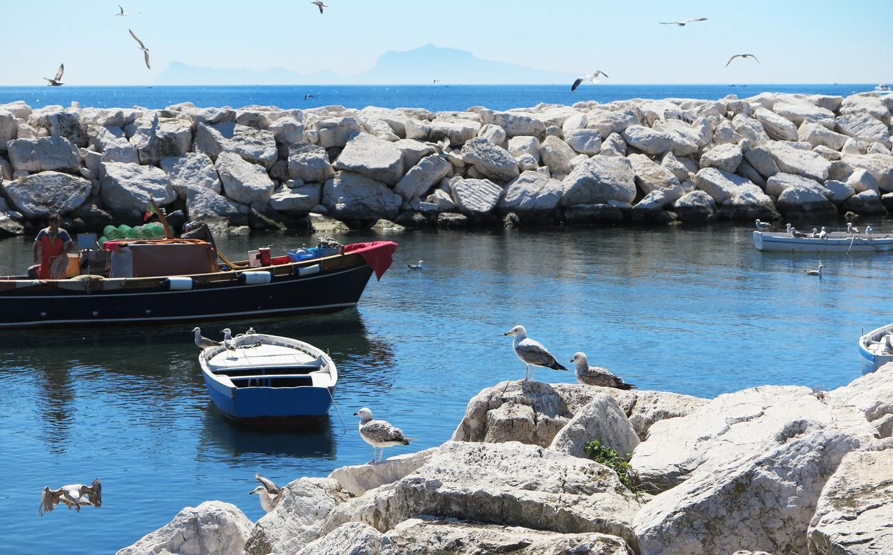 B&B Palazzo Mirelli Napoli Eksteriør bilde